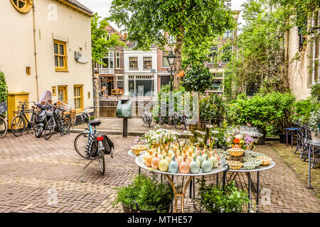 Piazza nel centro di Alkmaar con biciclette e piante in Alkmaar. Paesi Bassi Olanda Foto Stock