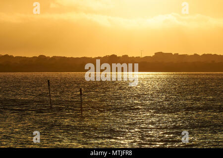 Tramonto Dorato da Sa Boca con Can Marroig proprietà backlighted in background nel Parco Naturale di Ses Salines (Formentera, isole Baleari, Spagna) Foto Stock