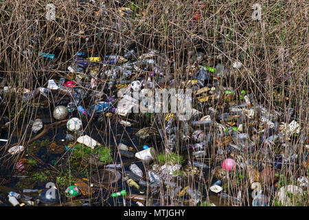 Rifiuti uso singole bottiglie in plastica visto galleggianti nell'acqua a Cardiff Bay, Wales, Regno Unito. Foto Stock