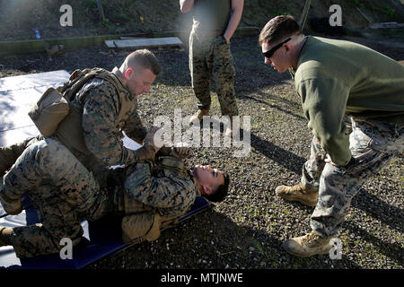 Cpl. Cory Espejo, una macchina gunner e Cpl. Diego Cuevas, un assaultman con scopi speciali Air-Ground Marine Task Force Response-Africa crisi, eseguire la massa delle tecniche di combattimento prima di un fucile intervallo vicino Naval Air Station Sigonella, Italia, Gen 3, 2017. Marines condotta una sollecitazione shoot, che ha coinvolto un fisicamente estenuante lavoro seguiti da un corso di fuoco mirato a verificare la Marine la funzione cognitiva. (U.S. Marine Corps foto di Cpl. Alexander Mitchell/rilasciato) Foto Stock