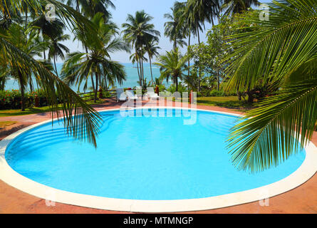 Foglie di palmo di fronte piscina sul resort tropicale Foto Stock