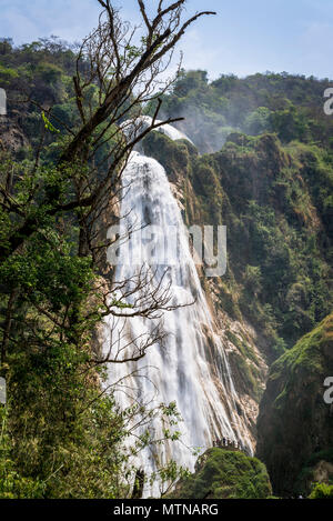 Chiflon cascata, Cascada Velo de Novia, Chiapas, Messico Foto Stock