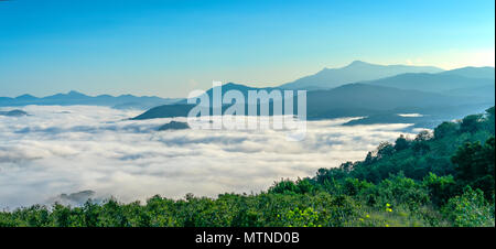 La mattina del paesaggio coperto nebbia la valle come nuvole galleggianti in splendide Highlands idilliaco di Dalat, Vietnam Foto Stock