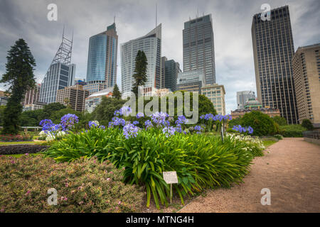 Vista di Sydney il distretto centrale degli affari di dai Royal Botanic Gardens, Sydney, Nuovo Galles del Sud, Australia Foto Stock