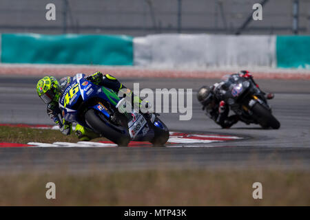 Nove volte Campione del Mondo Valentino Rossi a cavallo della sua Movistar Yamaha M1 factory bike a The Official MotoGP winter test sul circuito di Sepang in Malesia. Foto Stock