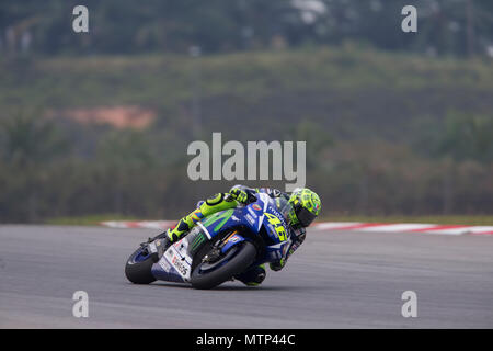 Nove volte Campione del Mondo Valentino Rossi a cavallo della sua Movistar Yamaha M1 factory bike a The Official MotoGP winter test sul circuito di Sepang in Malesia. Foto Stock