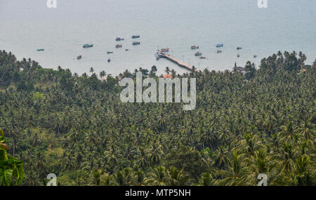 Alberi di noce di cocco sul Nam Du isola in Kien Giang, Vietnam. Foto Stock