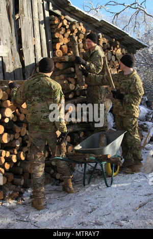 CAMP ADAZI, Lettonia - Spc. Evan Kellogg [sinistra], Sgt. Michael Chadwick [center] e SPC. Sean Boer [destra], paracadutisti assegnato alla società scelta 2° Battaglione, 503rd Reggimento di Fanteria, 173rd Brigata Aerea, catasta di legna da ardere a Bērzupes Esigenze Speciali Boarding School di Dobele, Lettonia, Gennaio 17, 2017. La missione è stata condotta in collaborazione con gli Stati Uniti Ambasciata e soldati lettone per fornire una alimentazione di legna da ardere per riscaldare la scuola. Il 'Sky soldato' di 2 miliardi di euro., 503rd Inf. Regt. sono su di una rotazione della formazione a sostegno del funzionamento Atlantic risolvere, un led DEGLI STATI UNITI sforzo in Europa orientale che de Foto Stock