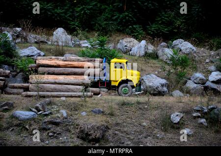 Logger caricamento tronchi di alberi sul carrello giallo sul versante disseminato di massi in Valle di Kaghan KPK Pakistan Foto Stock