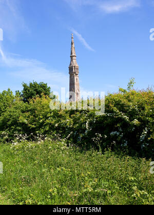 Monumento Sledmere nel Yorkshire Wolds con fiori selvaggi siepi di biancospino e graminacee selvatiche sotto un cielo blu in estate Foto Stock