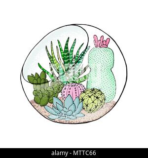 Succulenta collezione di cactus in acquario. Agave, aloe, Saguaro, gastraea, "Haworthia", echeveria, Pachyphytum, ficodindia Illustrazione Vettoriale