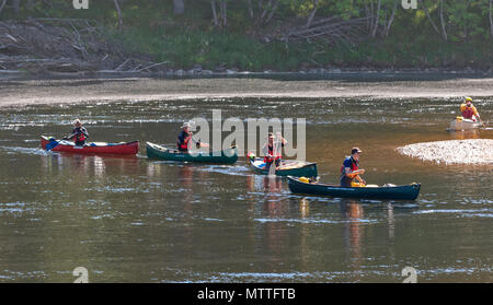 Fiume Spey SPEYSIDE SCOZIA A TAMDHU cinque canoe canoisti arrotondamento di un ansa del fiume nel sole primaverile Foto Stock