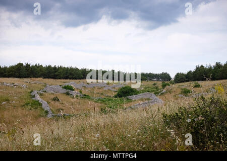 Cascina chiamato Jazzo tipico della regione di Murgia. La puglia, Italia. Foto Stock