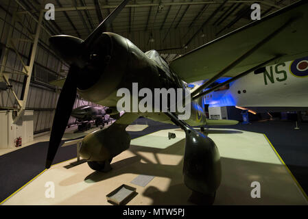 Westland Lysander Aircraft al RAF Museum di Londra Foto Stock