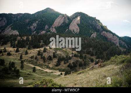 Vista sul Flatirons di Boulder, in Colorado. Foto Stock