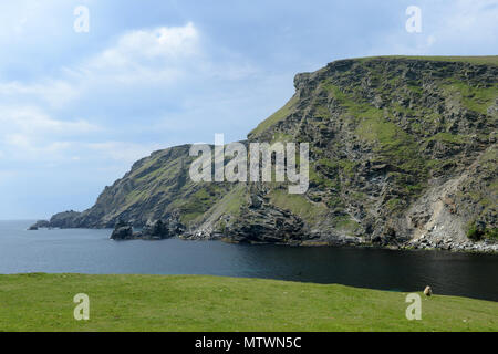 Testa disomogenea e Garths Ness in Shetland la baia che la MV Braer petroliera è venuto arenarsi nel gennaio del 1993 Foto Stock