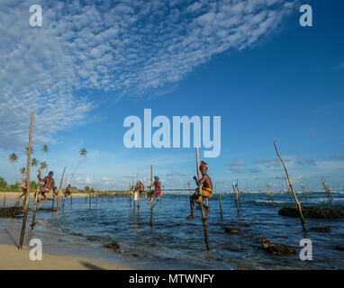 Hikkaduwa, Sri Lanka - Set 9, 2015. I pescatori locali con attività di pesca in uno stile unico sulla spiaggia di giorno di sole in Colombo, Sri Lanka. Foto Stock