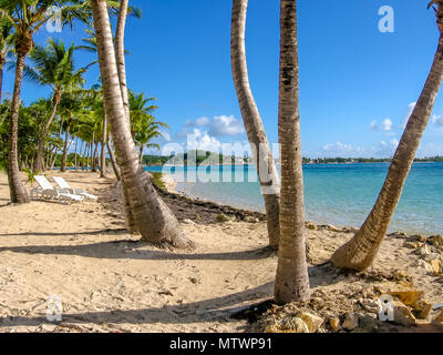 Palme da cocco e mare turchese, spiagge di sabbia bianca e due sedie da spiaggia riva. Sainte-Anne Guadalupa, Antille, dei Caraibi. Foto Stock