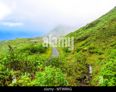 Il percorso di trekking a Volcan La Soufriere intorno la nebbia vapore che esce dalla bocca del vulcano attivo nel cratere Sud in Basse Terre Guadalupa, francese dei Caraibi. Foto Stock