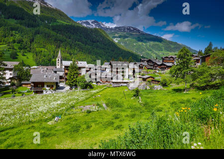 I prati alpini con fiori e montagne a Evolene, Val d'Herens, Svizzera Foto Stock