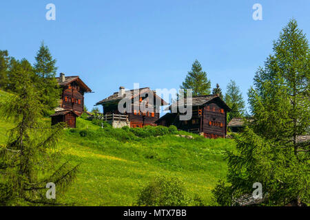 I prati alpini con fiori e montagne a Evolene, Val d'Herens, Svizzera Foto Stock