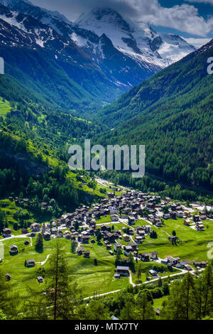 I prati alpini con fiori e montagne a Evolene, Val d'Herens, Svizzera Foto Stock