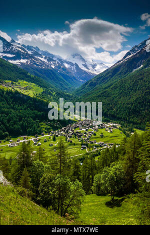 I prati alpini con fiori e montagne a Evolene, Val d'Herens, Svizzera Foto Stock