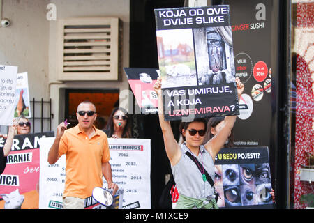 Zagabria, Croazia - 19 Maggio 2018 : persone che protestano contro lo sfruttamento degli animali nei macelli e nei laboratori di holding segni di protesta nel centro della città di Zagabria, C Foto Stock