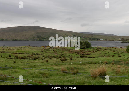 Paesaggio rurale in Connemara, Co Galway, Irlanda, estate, mountain range, vivaci colori verdi Foto Stock