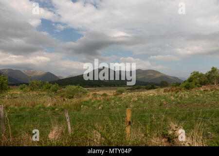 Paesaggio rurale in Connemara, Co Galway, Irlanda, estate, mountain range, vivaci colori verdi Foto Stock