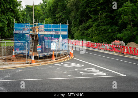 Sculture di alberi per progetti artistici futuri. Recinzione intorno all'albero all'incrocio tra New Road e Port Road a Killarney, County Kerry, Irlanda Foto Stock