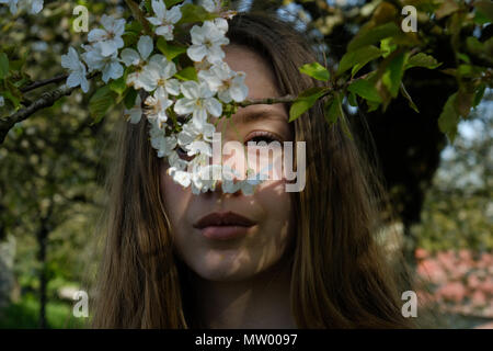 Ritratto di una ragazza adolescente in piedi sotto un fiore di ciliegio albero Foto Stock