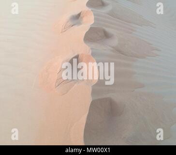 Orme lungo la cresta di una duna di sabbia, Wahiba Sands, Oman Foto Stock
