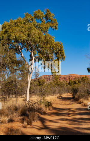 East MacDonnell Ranges vicino a Alice Springs, Territori del Nord, Australia Foto Stock