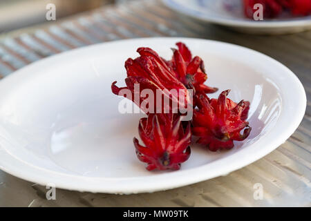 Roselle (Hibiscus sabdariffa) colore magenta calyces fresca (sepali) sulla piastra bianca, lavabo all'aperto Foto Stock