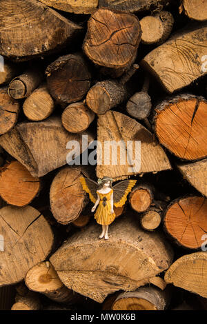 Fata in un log-pila Foto Stock