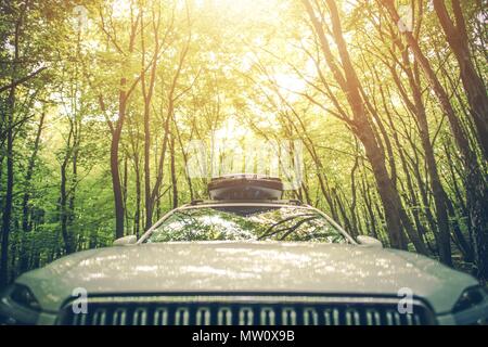 Vacation Road Trip con tetto di carico recipiente sul veicolo. Guida attraverso la foresta di estate. Foto Stock