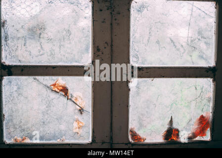 Finestra sporca in un ambiente scuro con foglie al di fuori Foto Stock