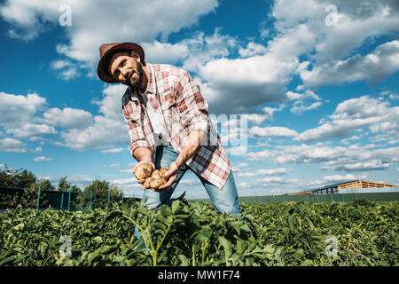 Bello barbuto agricoltore in hat tenendo il raccolto di patate organico Foto Stock