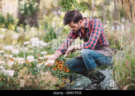 Giovani giardiniere in grembiule e stivali di gomma fiore di controllo mentre si lavora in giardino Foto Stock