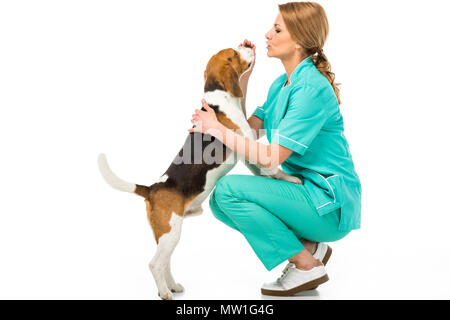 Vista laterale del veterinario in uniforme con cute cane beagle isolato su bianco Foto Stock