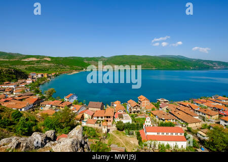 Lin presso il lago di Ohrid, regione Korca, Albania Foto Stock