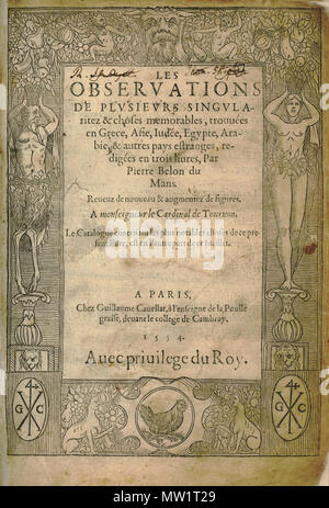 . Inglese: Pierre Belon. Les osservazioni de plusieurs singularitez & choses mémmorables, trouvées en Grèce, Asie, Judée, Egypte, Arabie, aux autres pays étrangers, Parigi, Guillaume Cavellat & Gilles Corrozet, 1554. 1554. Pierre Belon (1517-1564) nomi alternativi Bel.; Белон Пьер; Pierre Belon; Pierre Belon du Manse; Petrus Bellonius Cenomanus; Belon; Pierre Belon Le Mans Descrizione naturalista francese, scrittore, zoologo, medico, botanico e diplomatico naturalista francese Data di nascita e morte 1517 Aprile 1564 Luogo di nascita e morte Cérans-Foulletourte Parigi competente controllo : Q445 Foto Stock
