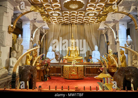 Interno della camera del Buddha Royal Place a Kandy, Sri Lanka Foto Stock