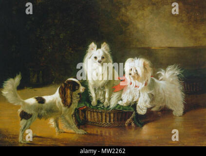 . Inglese: Johann Friedrich Wilhelm Wegener un giocattolo spaniel, un Pomerania e un terrier Maltese in un cesto Olio su tela 36,8 x 51 in. / 93,4 x 129,5 cm. 1855 Deutsch: Johann Friedrich Wilhelm Wegener un giocattolo spaniel, un Pomerania e un terrier Maltese in un cesto Olio su tela 36,8 x 51 in. / 93,4 x 129,5 cm. 1855 . 1855. Johann Friedrich Wilhelm Wegener 643 Wegener01 Foto Stock