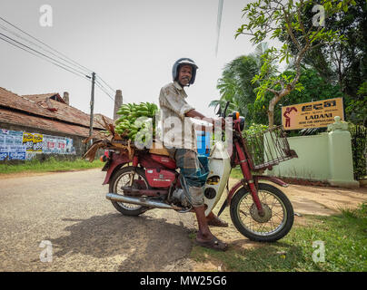 Colombo, Sri Lanka - Set 8, 2015. Un uomo che porta banana da scooter a campagna in Colombo, Sri Lanka. Foto Stock