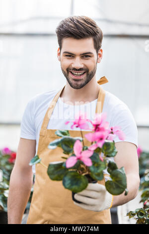 Sorridente giardiniere maschio holding Vaso con fiori in serra Foto Stock