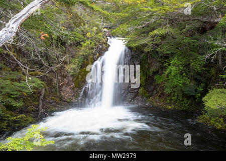 Una cascata cileno vicino a Puerto Williams sull Isola Navarino. È la città più meridionale che vale la pena che il nome prima di voi reacht Antartide. Foto Stock