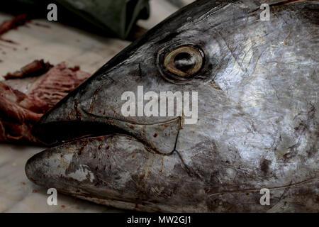 Dettaglio di tonno fresco capo mercato del pesce Foto Stock