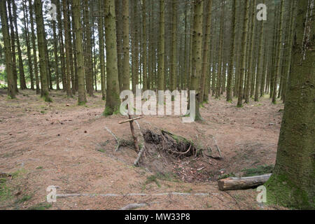 Bois Jacques foxholes nella foresta delle Ardenne vicino a Foy Belgio Foto Stock